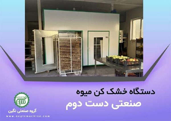دستگاه خشک کن میوه صنعتی دسته دوم با گروه صنعتی نگین