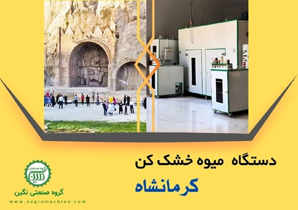 دستگاه میوه خشک کن کرمانشاه تواید کننده انواع دستگاه خشک کن میوه و سبزیگروه صنعتی نگین