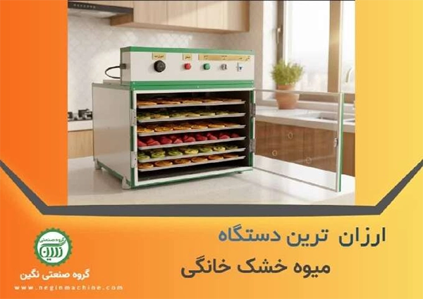 ارزان ترین دستگاه خشک کن میوه گروه صنعتی نگین