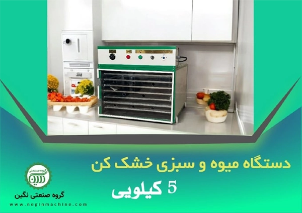 دستگاه میوه و سبزی خشک کن 5 کیلویی گروه صنعتی نگین