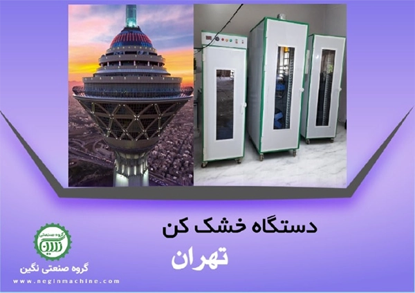 دستگاه میوه خشک کن تهران نمایندگی گروه صنعتی نگین