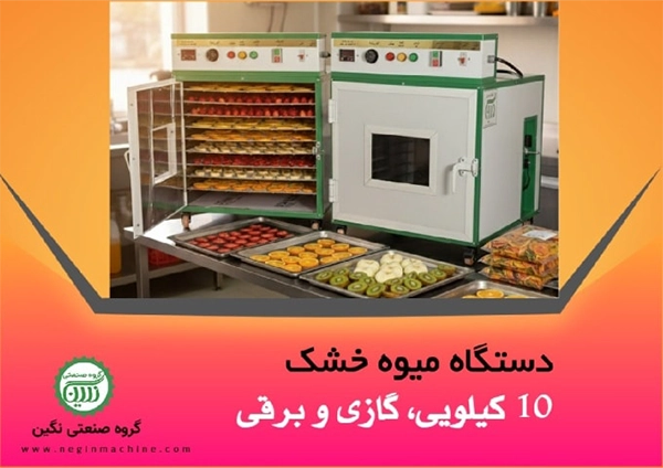 دستگاه میوه خشک کن 10 کیلویی گروه صنعتی نگین