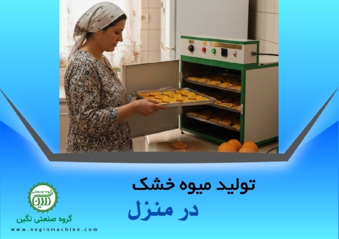 تولید میوه خشک در منزل با دستگاه های میوه خشک کن گروه صنعی نگین