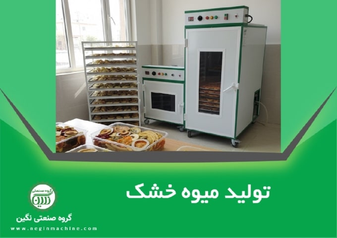 دستگاه تولید میوه خشک (دستگاه میوه خشک کن کارگاهی و خانگی) گروه صنعتی نگین