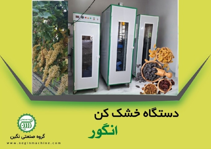 دستگاه خشک کن انواع انگور گروه صنعتی نگین