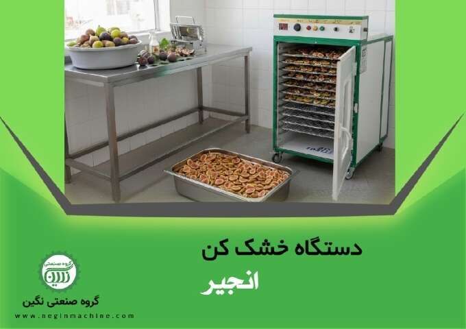 دستگاه خشک کن انجیر و انواع میوه گروه صنعتی نگین