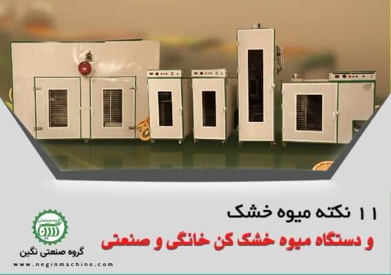 11 نکته میوه خشک و دستگاه میوه خشک کن خانگی و صنعتی
